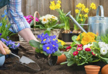 12 astuces naturelles et économiques pour transformer votre jardin ! faire des economies jardinage
