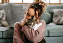 Derrière les ronronnements et les siestes : 3 faits méconnus sur les chats. Chat endormi paisiblement avec un léger ronronnement, illustrant les mystères cachés derrière ses habitudes quotidiennes.