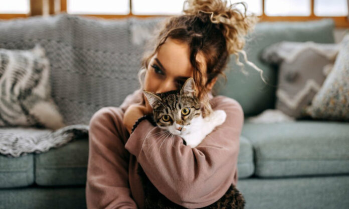 Chat endormi paisiblement avec un léger ronronnement, illustrant les mystères cachés derrière ses habitudes quotidiennes.