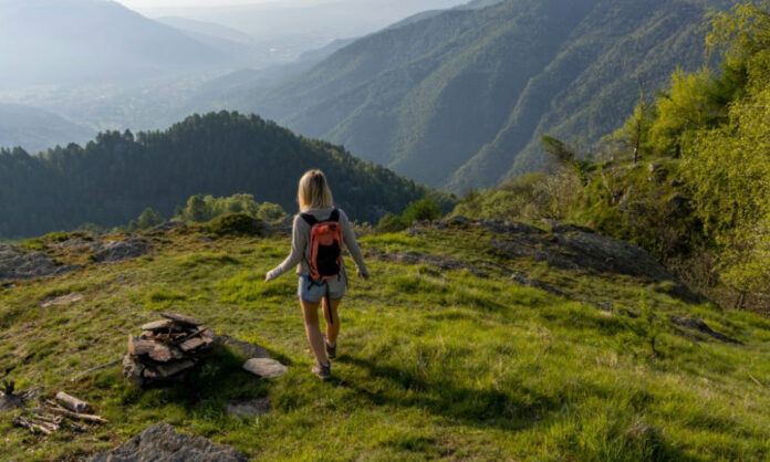 Panorama spectaculaire d'un parc national italien avec montagnes, forêt et ciel bleu.